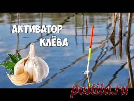 Карп и карась на чеснок!!! 100% АКТИВАТОР КЛЁВА!!! РЫБАЛКА на ПОПЛАВОЧНУЮ УДОЧКУ