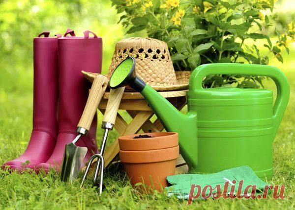 Лунный календарь садовода и огородника на 2020 год для Урала: благоприятные дни для посадки, ухода и профилактики болезней