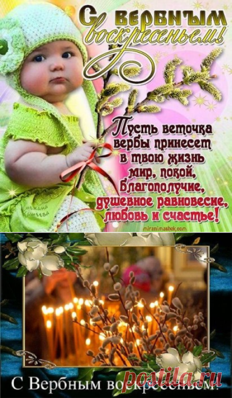 5 непрочитанных чатов
