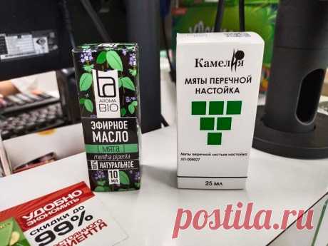 Как всего за 160 рублей избавиться от мышей в доме: способ таёжных охотников | FORUMHOUSE | Яндекс Дзен