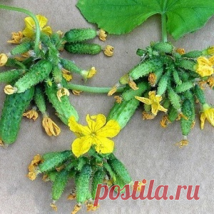 Новости - МирТесен