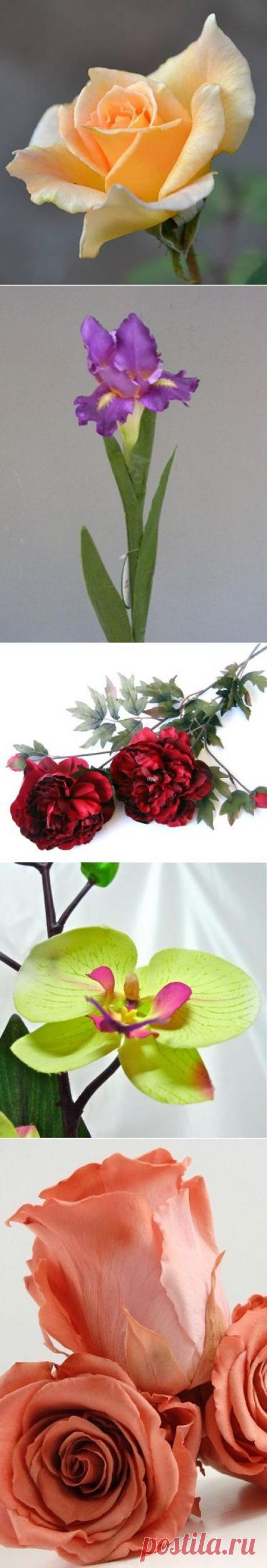 шаблоны цветов