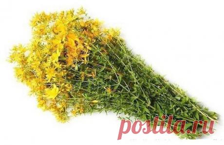 ЛЕЧЕБНЫЙ СИРОП ДЛЯ ПЕЧЕНИ, ПОЧЕК И ЖКТ

&quot;У меня была соседка, которая очень любила выпить, причем, крепко выпить. И так она к этому делу пристрастилась, что посадила печень до цирроза. Она долго лечилась, несколько раз лежала в больнице, но вылечиться полностью не могла. И вот ей дали рецепт, который полностью помог ей вылечиться от цироза печени. Но им, как оказалось, можно лечить практически все заболевания печени, почек и желудочно-кишечного тракта. 
Показать полностью…