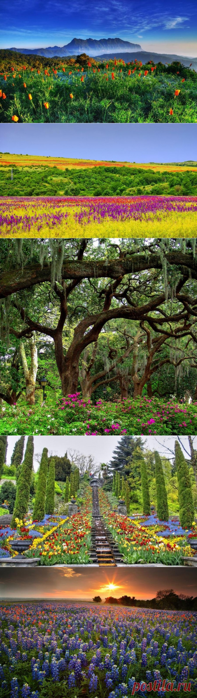 Трудно поверить, что фотографии реальны;) Краски весны! — Фотоискусство