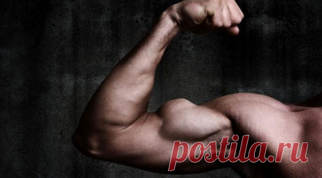 Брат | Георгий Жаркой | Дзен