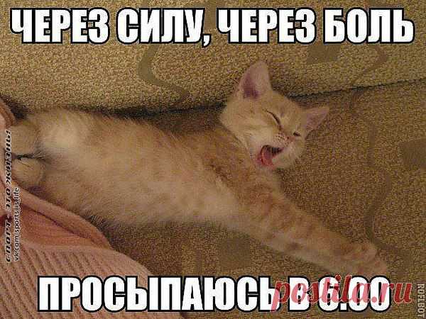 Интересные новости