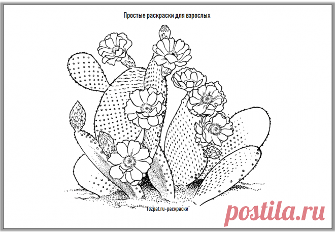 Простые раскраски для взрослых - Tozpat.ru