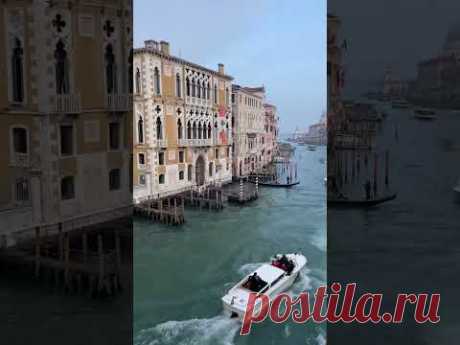 Гранд канал Венеция 24. 02.2025 #travel #venezia #венеция #nature