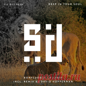 Konfluence - Filimbi | 4DJsonline.com