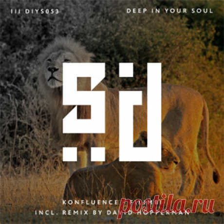 Konfluence - Filimbi | 4DJsonline.com