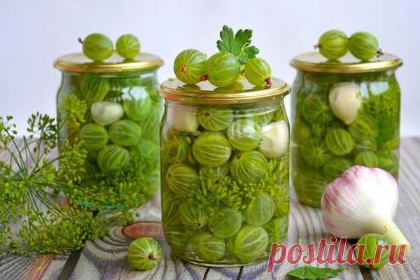 Маринованный крыжовник на зиму - вкусные рецепты