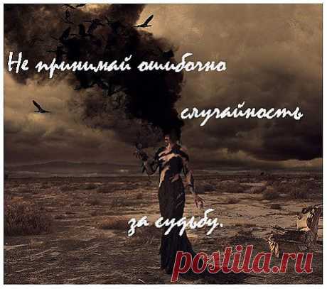 Не принимай ошибочно случайность за судьбу. 
(Стивен Кинг. Под куполом)