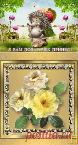 Каталог анимаций - Красивые анимации бесплатно