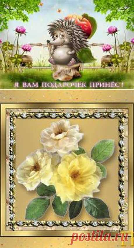 Каталог анимаций - Красивые анимации бесплатно