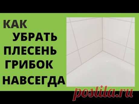 Как УБРАТЬ ПЛЕСЕНЬ ГРИБОК в ванной НАВСЕГДА. УНИКАЛЬНЫЙ СПОСОБ!