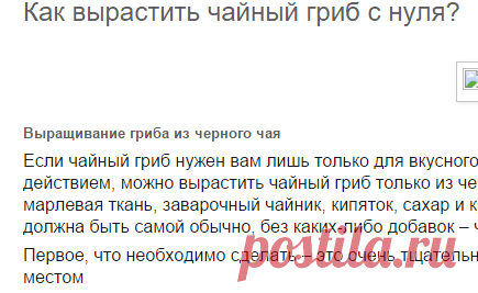 Делаем все сами: Как вырастить чайный гриб с нуля?