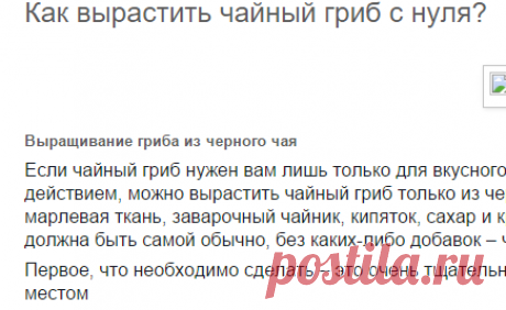 Делаем все сами: Как вырастить чайный гриб с нуля?