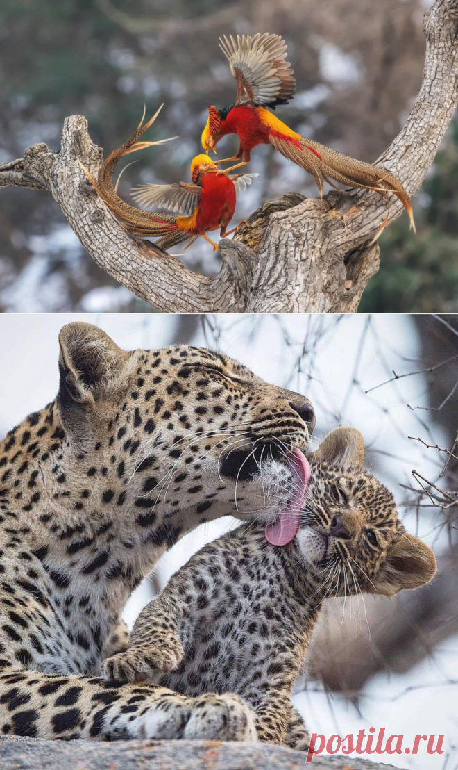 Картинки и фотографии на просторах интернета