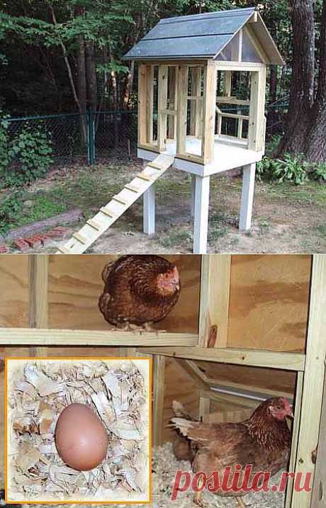Курятник своими руками