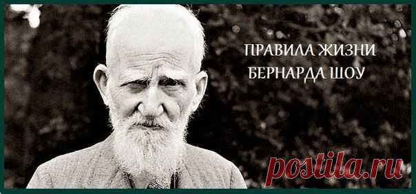 Добрый Джордж Бернард отучит тебя от нытья и лени | МАЛЕНЬКАЯ СТРАНА МС