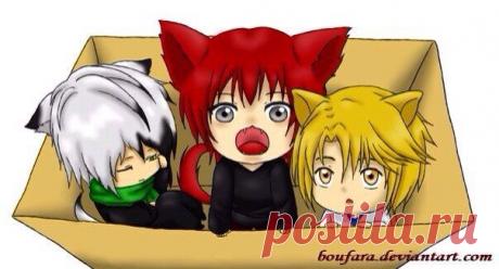 Сохранённые фотографии | 753 фотографии