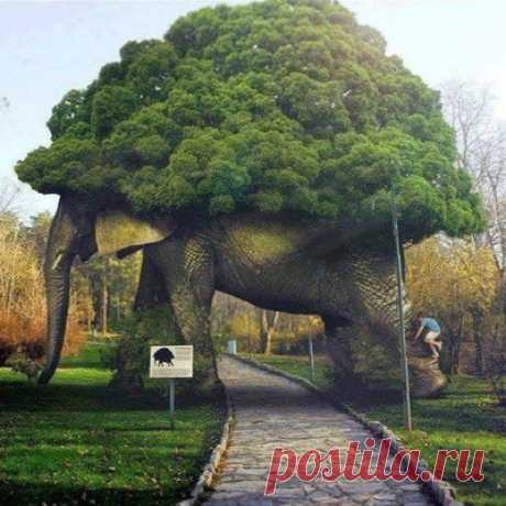 Какая красота!!!