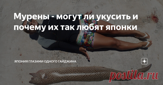 Мурены - могут ли укусить и почему их так любят японки Если плавать с маской вдоль кораллового рифа на небольшой глубине, то можно заметить жутких рыбин, похожих на змей, выглядывающих из углублений кораллов - застывшие глаза как-будто наблюдают за вами, зубастые пасти открываются и закрываются, а из ноздрей выдвигаются какие-то отростки.
Эти монстры известны, пожалуй, всем - это #мурены , или, как их называют японцы, уцубо (鱓). Сливаясь камуфляжным окрасом с кораллами, ры...
