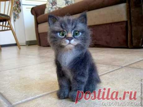 clip_image003%255B3%255D%255B9%255D.jpg (image)