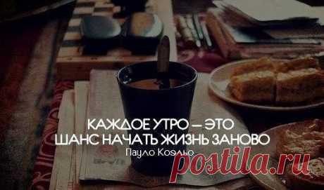 10 Traders сервис online покупок.