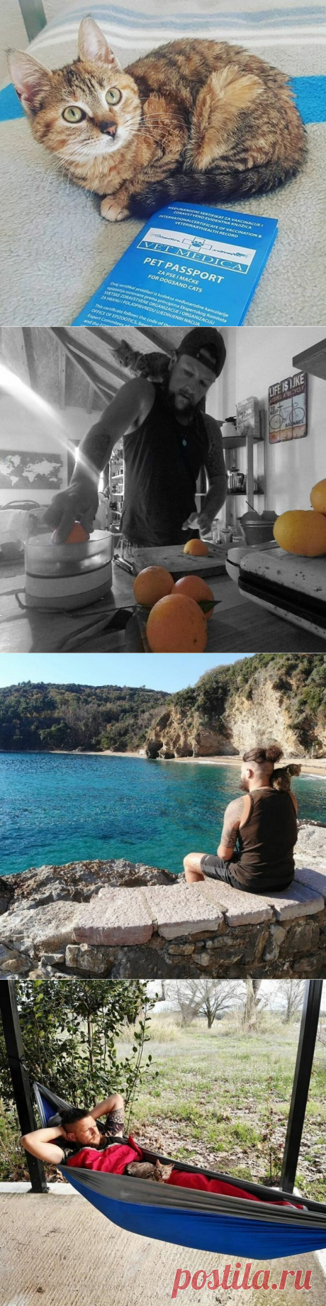 Шотландец колесит по миру с кошкой / Туристический спутник