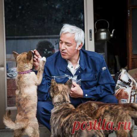 Кормилец брошенных животных в зоне отчуждения Фукусимы