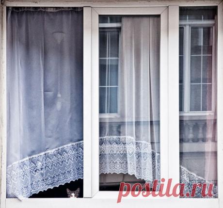 Главное, чтобы дома кто-то ждал – Фитнес для мозга