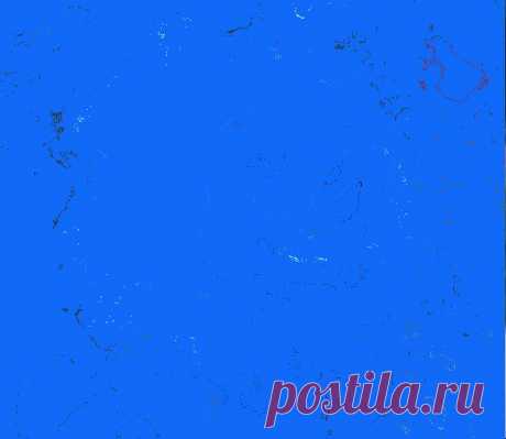 Розы синие и голубые