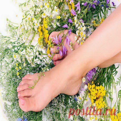 Болезни ног и сосудов | Друг пенсионера
Хотелось бы раскрыть тему, касаю­щуюся болезней ног. Эта тема очень актуальна для многих.