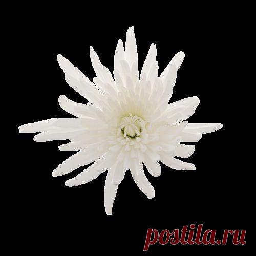 Десять заповедей счастливой пары.