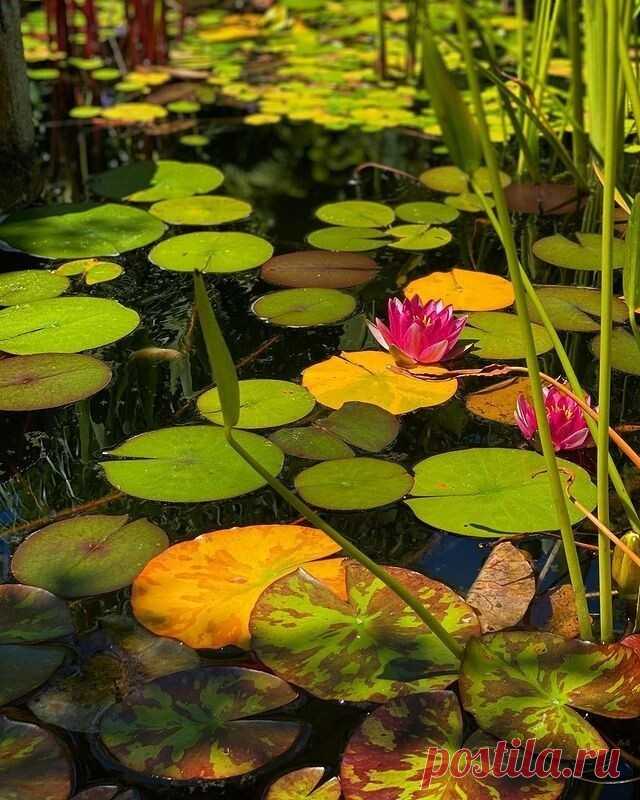 i (640×800)
