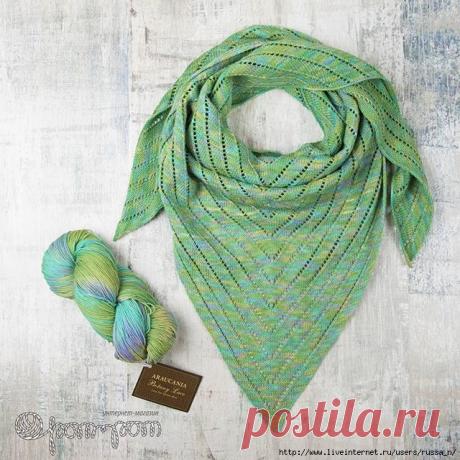 Бактус спицами.