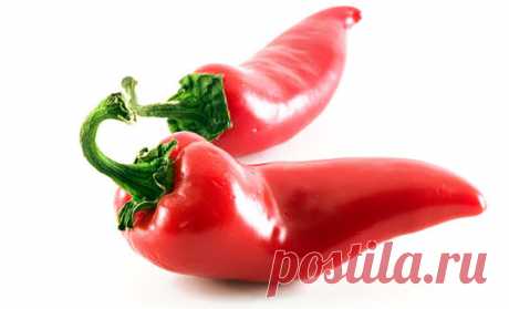 КУЛИНАРНЫЕ СОВЕТЫ