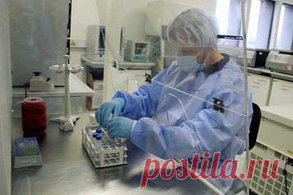 Названо самое опасное биологическое оружие. Геномное редактирование и генная терапия являются самым опасным биооружием, заявила химик, генетик Елена Кириченко в программе «Мы в курсе» на «Царьграде». По словам эксперта, эти методики представляют собой адресную доставку биооружия в живой организм, и именно это направление «идет вперед семимильными шагами».