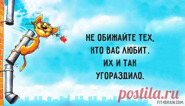 Интересные новости