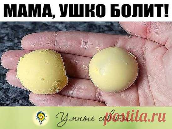 «Мама, ушко болит!»
Ситуация, знакомая многим родителям. Рецепт же крайне прост, дешев и эффективен.
Сварите вкрутую яйцо, затем тщательно отделите белок от желтка и положите желток в чистую простую (ни в коем случае не в искусственную и не в марлю) ткань и выжмите из него на блюдце несколько капелек. Эти капельки и закапываете в больное ушко. Боль проходит мгновенно и уже не возвращается. Главное условие — ткань, блюдце и пипетка должны быть стерильно чистыми, чтобы не занести ребенку в ухо и