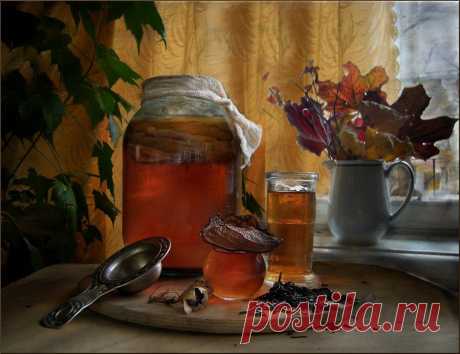 Все секреты чайного гриба