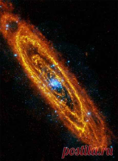 Andromeda's exotic X-ray signal is bright black hole - Technology & science - Space - Space.com | NBC News