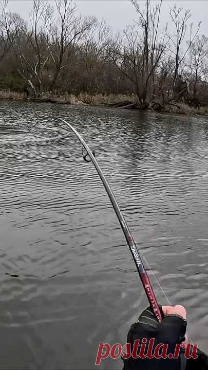 Перед тем как начать ловить рыбу, всегда проверяйте настройку фрикциона!!!