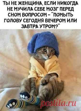 (2) Facebook