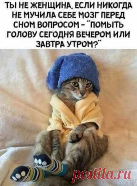 (2) Facebook