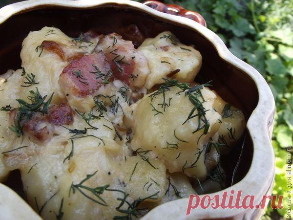 Творожные галушки в сметане рецепт