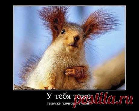 Улыбнись!