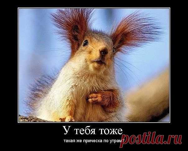 Улыбнись!