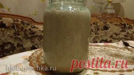 Самая простая хмелевая закваска - ХЛЕБОПЕЧКА.РУ - рецепты, отзывы, инструкции